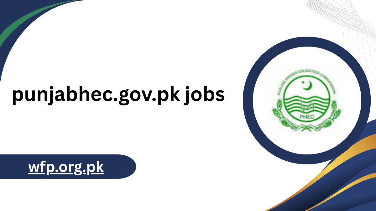 punjabhec.gov.pk jobs